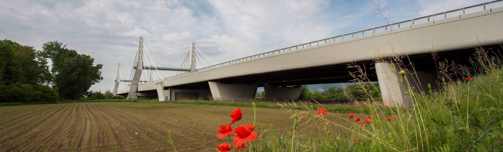 Support to Motorway Company Autostrada A4